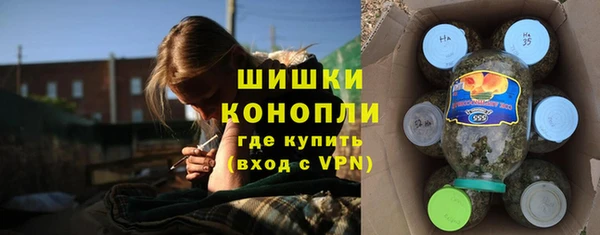 эйфоретик Магас