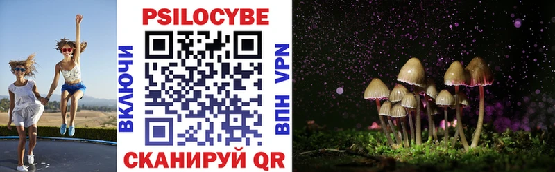 Галлюциногенные грибы Psilocybe  Купить  Печоры 